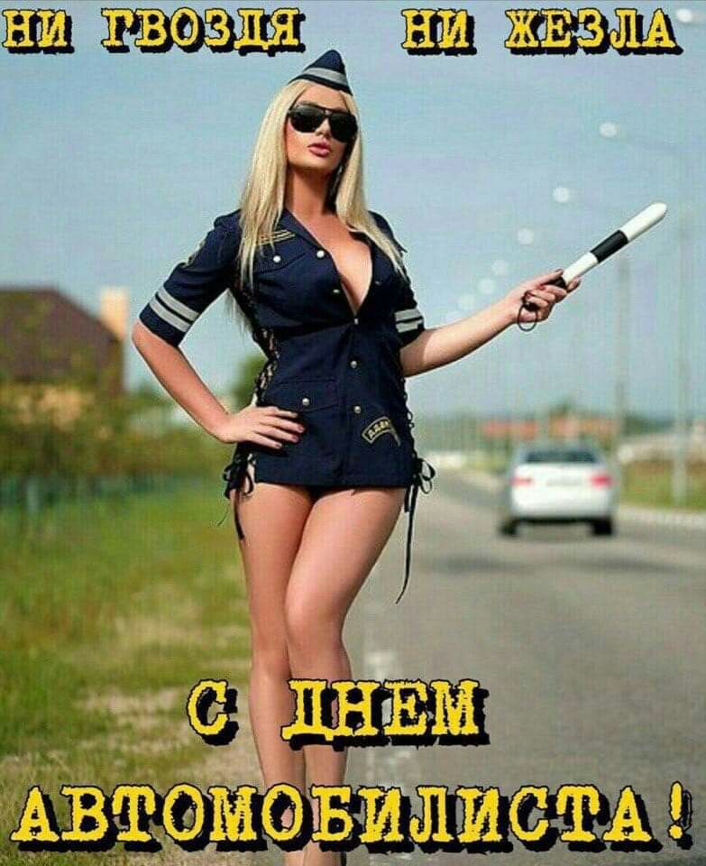 шквала4 живи