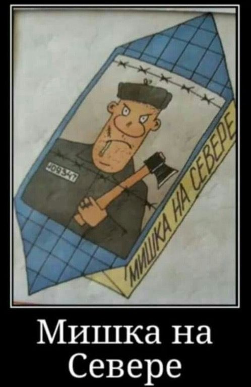 Мишка на Севере