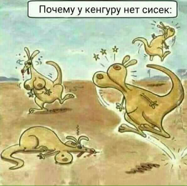 _ Почему у кенгуру нет сисек