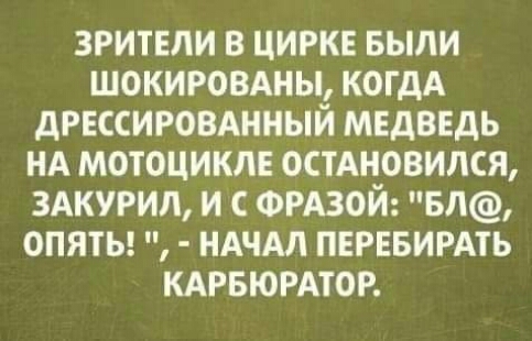 зрители в цирке выпи ШОКИРОВАНЫ КОГДА дрессировднный медведь нА мотоцикле остАновился здкугип и ФРАЗОЙ БЛ опяты НАЧАЛ пегввирмь кдрвюрдтор