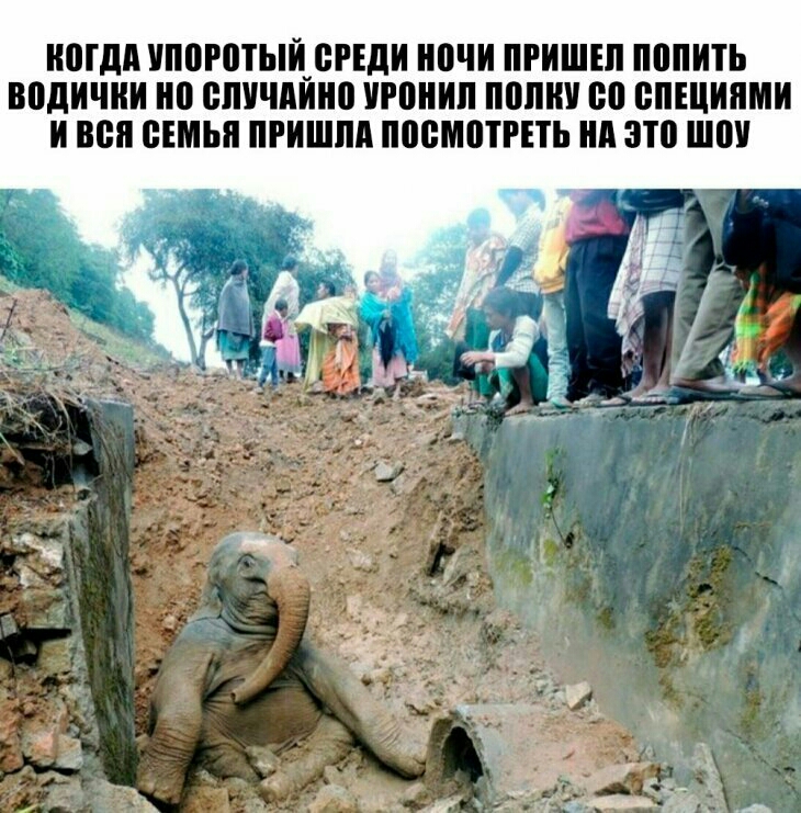 ногдп УППЮТЫЦБРЕДИ ночи ПРИШЕЛ ПППИТЬ ВПДИШИ 0 БЫВШИМ тнип ВПШ 80 ВШЕЩИЯМИ И вся БШШ ПРИШЛА ВБМЩРЕТЬ нп ЗП ШШ