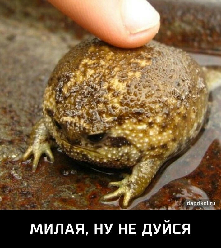 _ _ _ __Кы МИЛАЯ НУ НЕ ДУЙСЯ