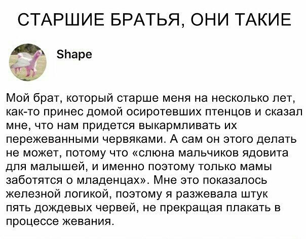 СТАРШИЕ БРАТЬЯ ОНИ ТАКИЕ р Паре Мой брат который старше меня на несколько лет как то принес домой осиротевших птенцов и сказал мне ЧТО нам придется выкармпивать ИХ пережеванными ЧЭрвЯКЭМИ А сам ОН ЭТОГО ДЭПЗТЬ НЭ МОЖЭТ ПОТОМУ ЧТО СПЮНЭ МЭПЬЧИКОВ ядовита ДЛЯ МЭЛЫШЭЙ И именно ПОЭТОМУ ТОЛЬКО МЭМЫ ЗабОТЯТСЯ О мпаденцах Мне ЭТО показалось железной ПОГИКОЙ ПОЭТОМУ Я разжевапа ШТуК ПЯТЬ ДОЖДеВЫХ Червей н