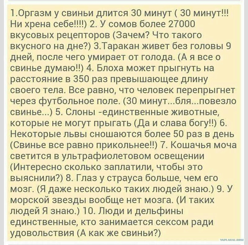 10ргазм у свиньи длится 30 минут 30 минут Ни хрена себе 2 У сомов более 27000 вкусовых рецепторов Зачем Что такого вкусного на дне 3Таракан живет без головы 9 дней после чего умирает от голода А я все о свинье думаю 4 Блоха может прыгнуть на расстояние в 350 раз превышающее длину своего тела Все равно что человек перепрыгнет через футбольное поле 30 минутбляповезло свинье 5 Слоны единственные живо