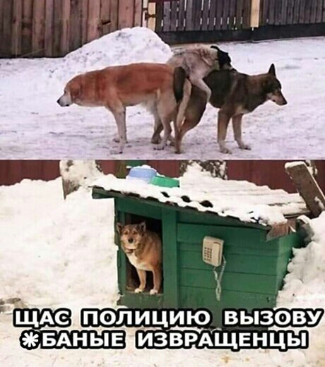 С ПОПИЦИЮ ВЬЗОВУ БАНЬіЕ ИЗВРАЩЕНЦЬі