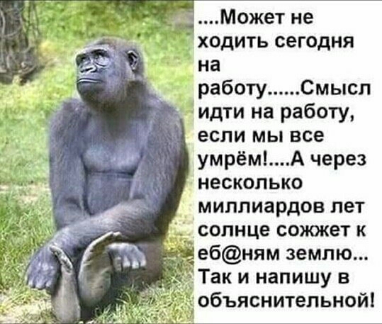 _Может не ходить сегодня на работу Смысл идти на работу если мы все умрётА через несколько миллиардов лет солнце сожжет к ебням землю