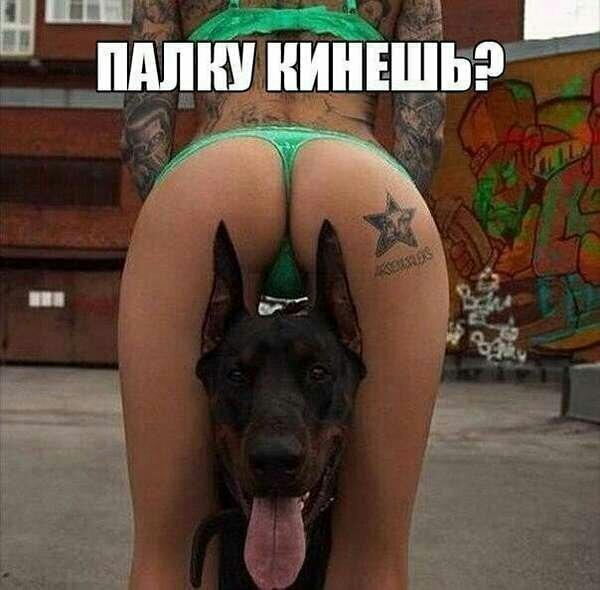ШЦЩ