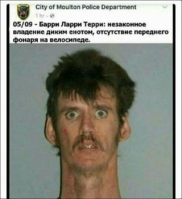 0509 Барри Ларри Терри незаконное впадение диким енотом отсутствие переднего сиу ог Мппппп Ранее Берешит