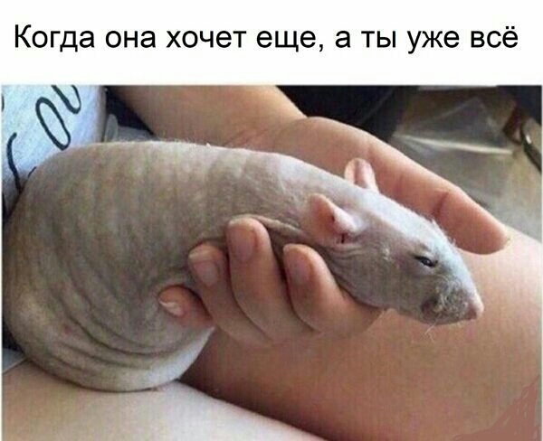 Когда она хочет еще а ты уже всё