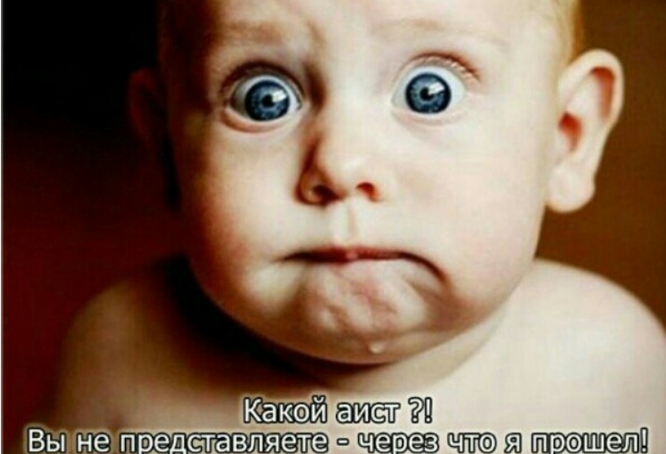 Вы Чё пвд