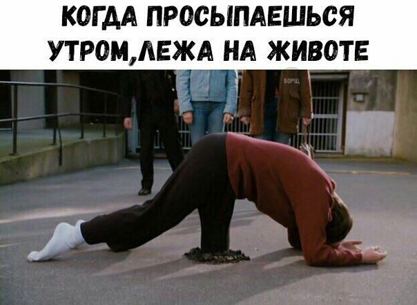 КОГ АА ПРОСЫПАЕШЬСЯ УТРОМ АЕЖА НА ЖИВОТЕ