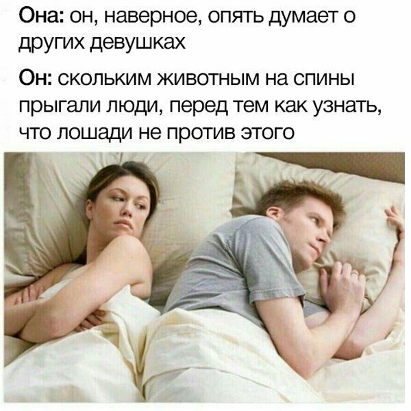 Она он наверное опять думает о других девушках Он СКОЛЬКИМ ЖИВОТНЫМ на СПИНЫ прыгали ЛЮДИ перед тем как УЗНЗТЬ ЧТО ЛОШЭДИ не ПРОТИВ ЭТОГО д