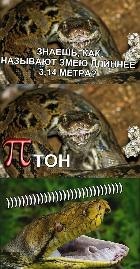 г НАЗ ЫВА_Ю_Т ЗТМЕЮ7ДЛ1ИН ННЕЕ Ъ ЗЁ14МЕТРА Ё ЗНАЕШЬч ЙА