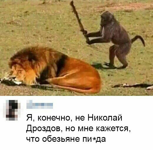 Ё _ Я конечно не Николай Дроздов но мне кажется что обезьяне пида