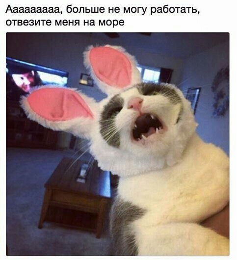 Ааааааааа больше не могу работать отвезите меня на море