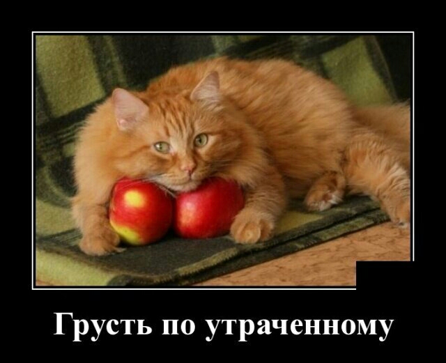 Грусть по утраченному