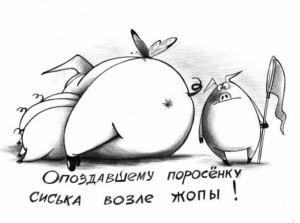 ОпоздлвШеИУ поросёнку СИСЬКА возле топы