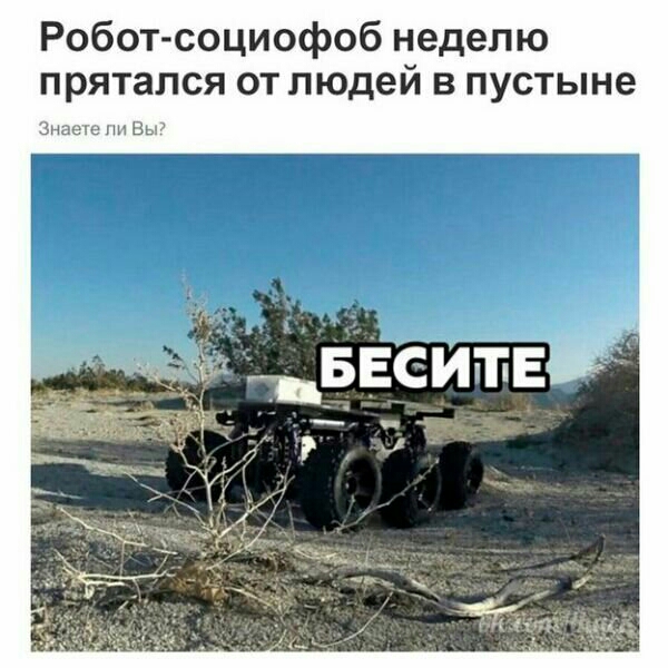 Робот социофоб неделю прятался от людей в пустыне ЦнцэіеннВы