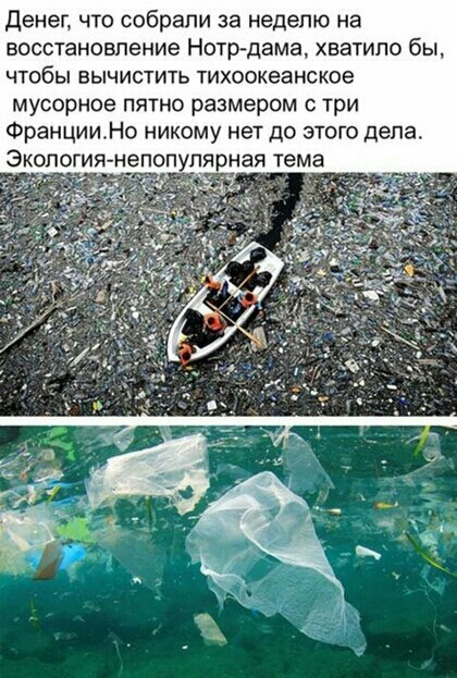 денег что собрали за неделю на восстановление Нотрдама хватило бы чтобы вычистить тихоокеанское мусорное пятно размером с три ФранцииНо никому нет до этого дела Экологиянепопулярная тема 353