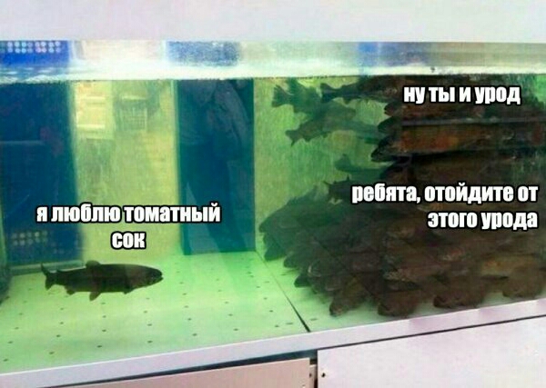 ЧП штьшупші ПОШИВ ШЙДИШ япюппю томатный этом шла
