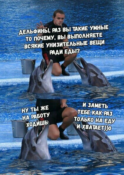 ИЫ Вы ШИЕ УЫЕ ТО ПОЧЕМУ ВЬЬВЬШОМЯЕТЕ ИКИ ИЗИТЁАЬНЬЕ ВЕЩИ ми Еда