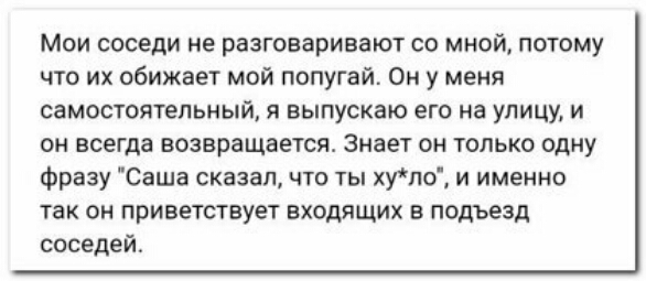 Мои соседи не разговаривают со мной потому что их обижает мой попугай Он у меня самостоятельный я выпускаю его на улицу и он всегда возвращается Знает он только одну фразу Саша сказалчто ты хупо и именно так он приветствует входящих в подъезд соседей