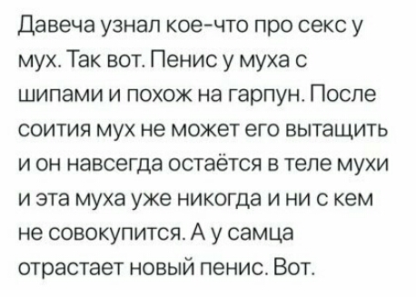 Давеча узнал коечто про секс у му Так вот Пенис у муха с шипами и похож на гарпун После соития мух не может его вытащить и он навсегда остаётся в теле мухи и эта муха уже никогда и ни с кем не совокупится А у самца отрастает новый пенис Вотт