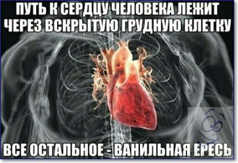 Ш ВЕРДЦЩЧЩПВЕЩЕШИТ ЧЕРЕЗ ВВНРЫПЮ РЛШШШ НИЧ __У Ъ 7 ъ м ВСЕ ЦБЦШЬНПЕЁ ВЩИЛЬШШ