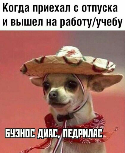 Когда приехал отпуска и вышел на работуучебу а У ЕНЗНПЕ ЛИДЙЙШЕИЛПЁ и