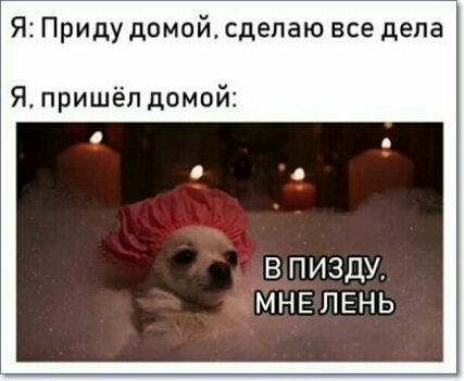 Я Приду домой сделаю все дела Я пришёл домой впиздУ нмныень