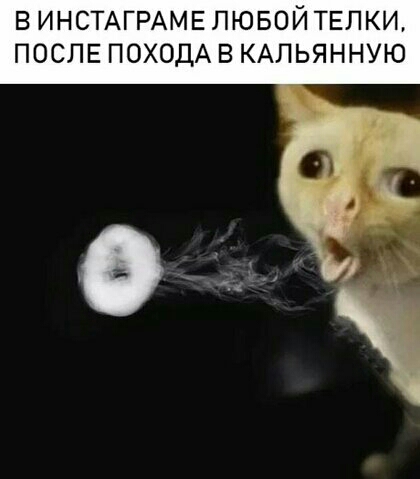 В ИНСТАГРАМЕПЮБОЙТЕЛКИ ПОСЛЕ ПОХОДА В КАЛЬЯННУЮ