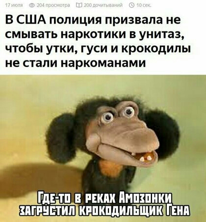 В США полиция призвала не смывать наркотики в унитаз чтобы утки гуси и крокодилы не стали наркоманами гдгдтп и Импкпнки пгинвтип кипкпдипьщик Пип