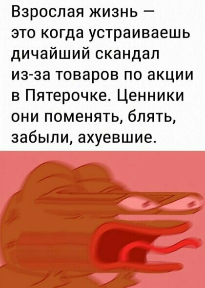 Взрослая жизнь это когда устраиваешь дичайший скандал изза товаров по акции в Пятерочке Ценники они поменять блять забыли ахуевшие
