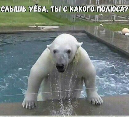 Ти Г