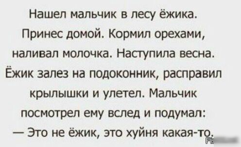 Нашеп мальчик в лесу ёжика Принес домой Кормил орехами напивап молочка Насгупипа весна Ёжик залез на подоконник расправил крылышки и улетел Мальчик посмотрел ему вслед и подумал Это не ёжик это хуйня какая то