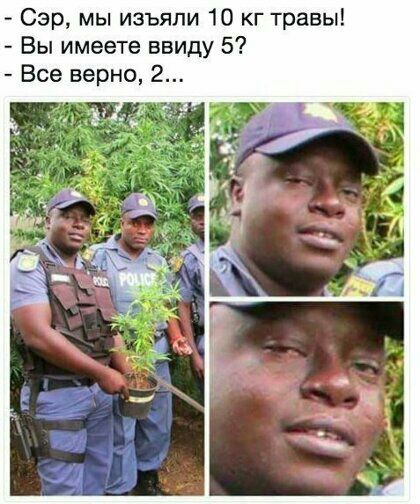 Сэр мы изъяли 10 кг травы Вы имеете ввиду 5 Все верно 2