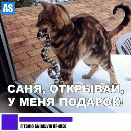 а з САЬЩ Фтк У МЕНЯ П Г
