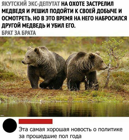 ЯКУТСКИЙ ЭКС дЕПУТАТ НА ОХОТЕ ЗАСГРЕЛИЛ МЕДВЕДЯ И РЕШИЛ ПОДОЙТИ КСВОЕЙ дОБЫЧЕ И ОСМОТРЕТЬ По В ЭТО ВРЕМЯ НА НЕГО НАБРОСИЛСЯ дРУГОЙ МЕДВЕДЬ И УБИЛ ЕГО БРАТ ЗА БРАТА Эта самая хорошая новосгь политике за прошедшие пол года