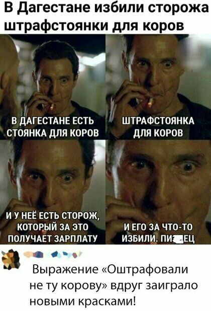 В дагестане избили сторожа штрафстоянки для коров В ДАГЕСТАНЕ ЕСТЬ ШТРАФСТОЯНКА СТОЯНКА ДЛЯ КОРОВ дЛЯ КОРОВ ъ И У НЕЁ ЕСТЬ СТОРОЖ КОТОРЫЙ ЗА ЭТО И ЕГО ЗА ЧТО ТО ПОЛУЧАЕТ ЗАРПЛАТУ извини ПИЦЕЦ с Выражение Оштрафовапи не ту корову вдруг заиграпо новыми красками