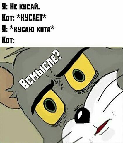 кнппй Кит ИНЕПП Я кнпиш кпти