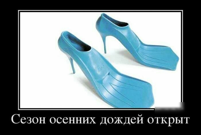 ССЗОН ОССННИХ ДОЖДСЙ ОТКРЫТ