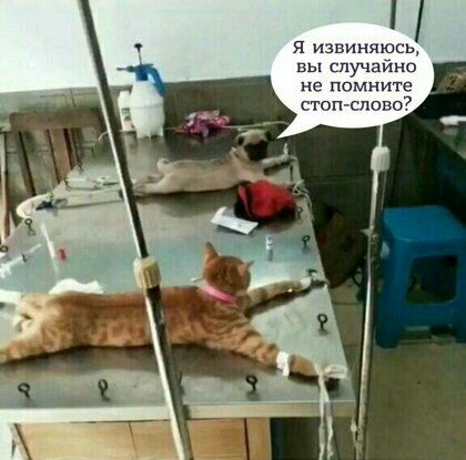 Я извиняюсь вы случайно не ппмнптс СТОП СПФЕО7