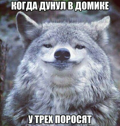 МДА дППШ В МИД