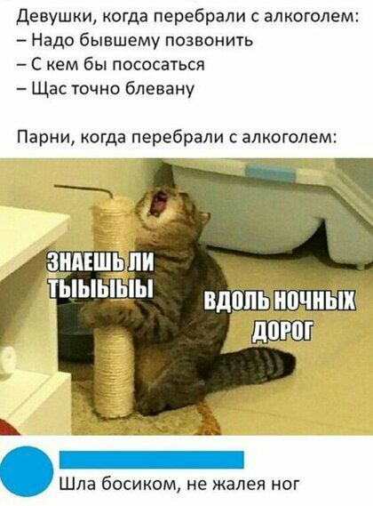 Девушки когда перебрали с алкоголем Надо бывшему позвонить С кем бы пососаться Щас точно блевану Парни когда перебрали с алкоголем Шла босиком не жалея ног