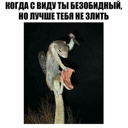 МДА ВИД ТЫ ыезовидный но ЛУЧШЕ ТЕБЯ ЗПИП