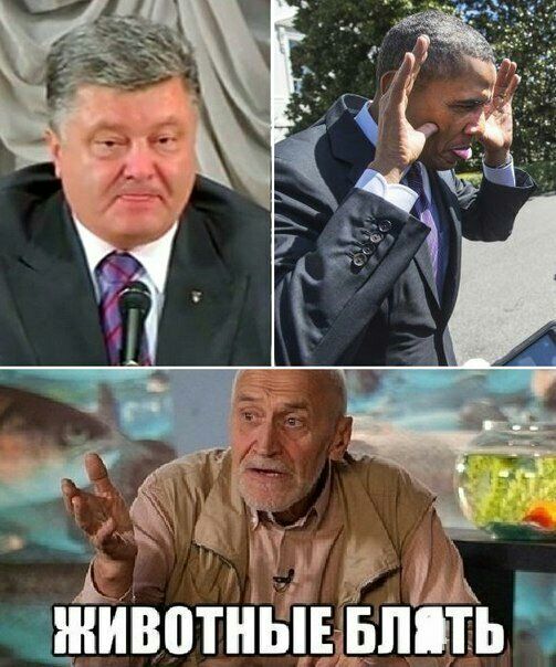 1 животные Бпіть Ч
