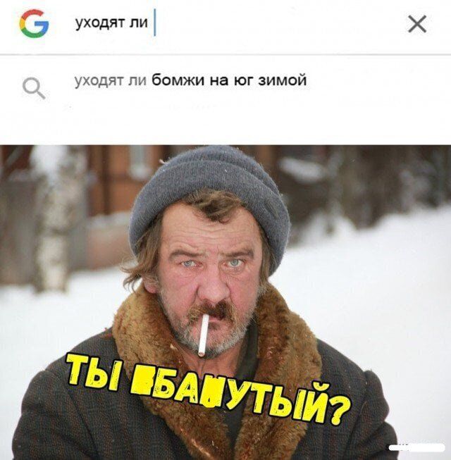 уходят пи уходят пи бомжи на юг зимой