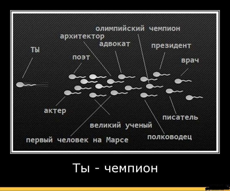 олимпийский чемпион архитектор адвокат президент ты поэт врач мы СЬ Х актер писатель великий ученый первый человек на Марсе ПОЛ ководец Ты чемпион