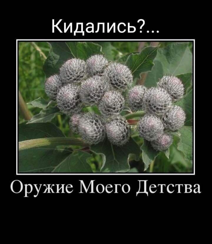 Кидались Оружие Моего Детства