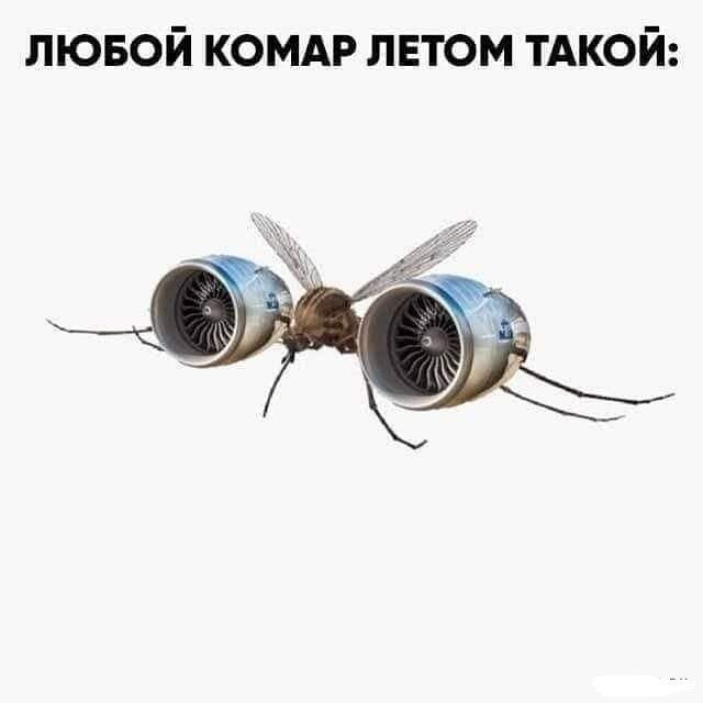 лювой КОМАР лнтом тдкой